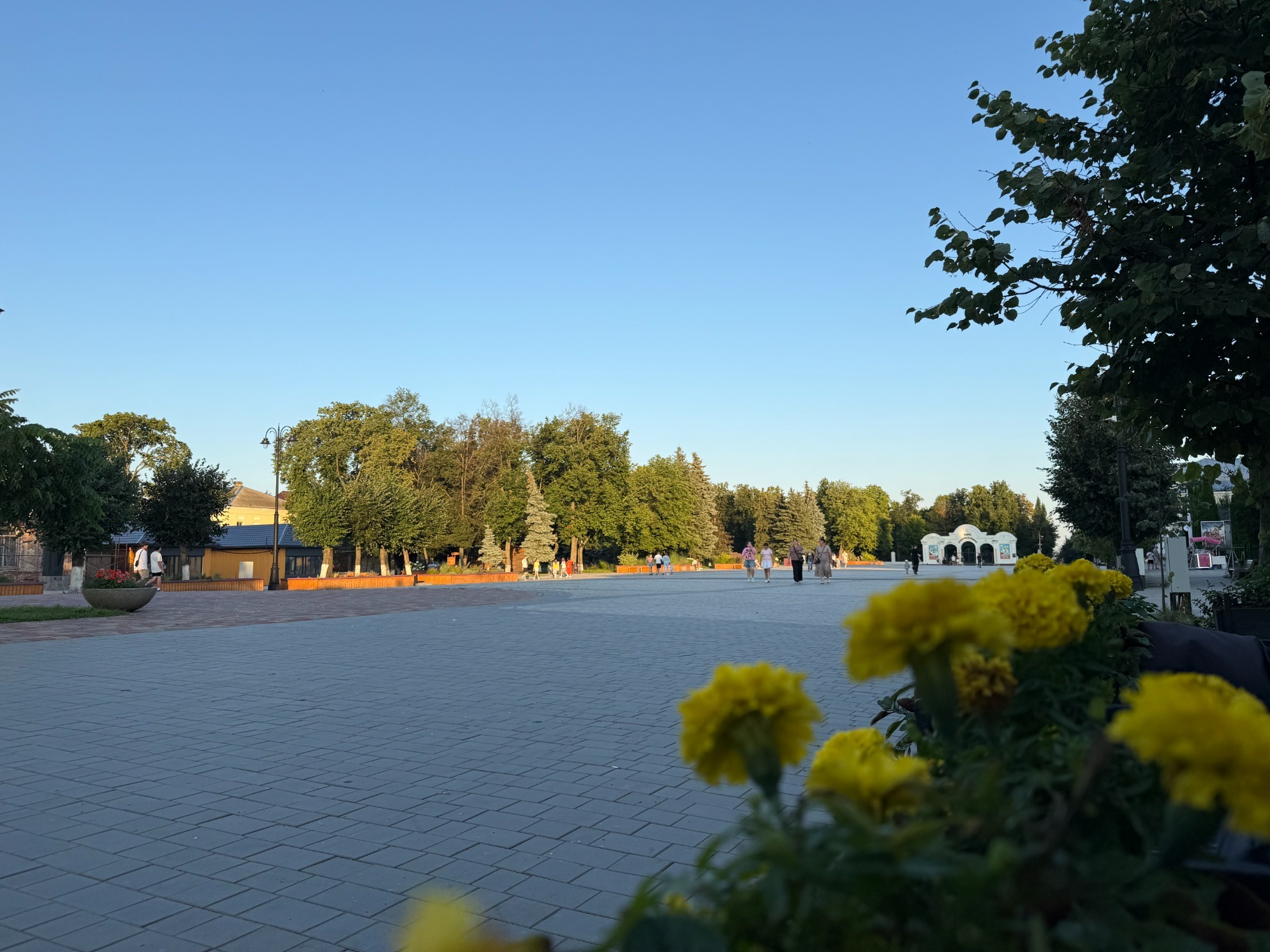 Август в Мичуринске станет богатым на культурные события.
