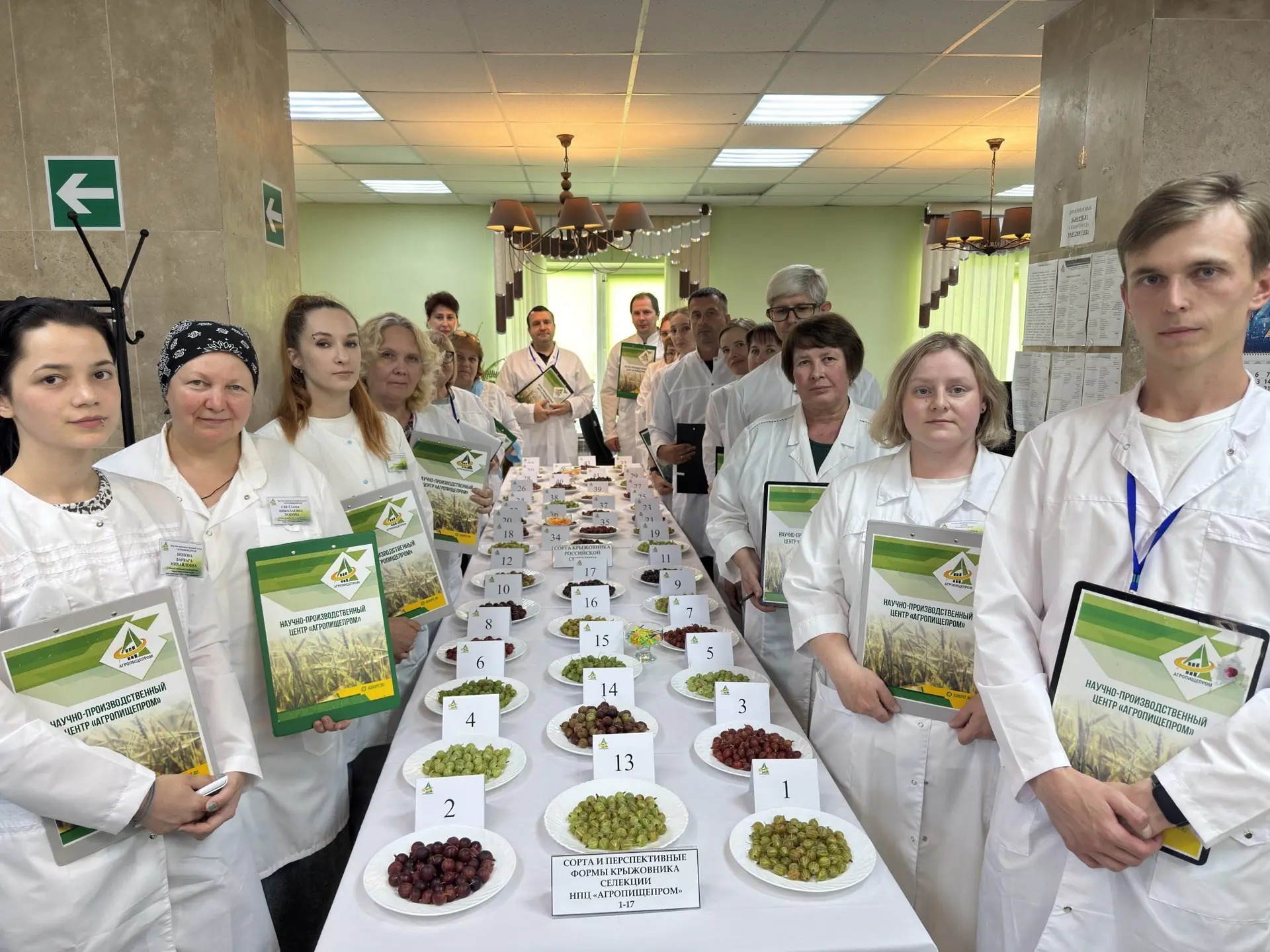 Уникальные сорта крыжовника представили мичуринские учёные.